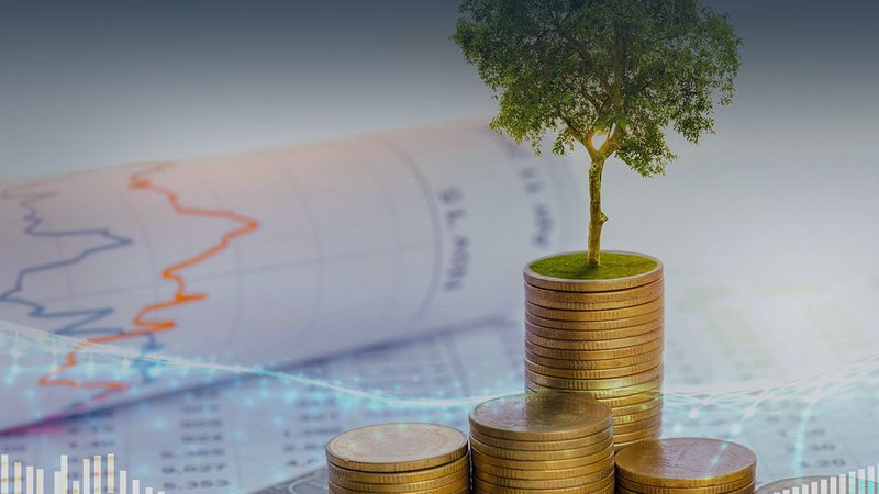北京IT管理咨询公司：助力企业数字化转型之路